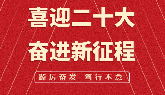 喜迎二十大，奮進(jìn)新征程︱飛友全體員工熱烈迎接黨的二十大勝利召開